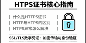 什么是https证书，http与https的区别，https异常怎么解决
