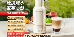 一杯走天下：DRSH-007便携电热杯深度体验，如何重新定义“随时随地喝热水”？缩略图