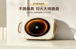 解密优选｜DTL-005电陶炉深度评测：如何用“不挑锅具”与“健康低辐射”重新定义厨房烹饪自由？缩略图