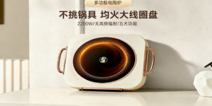 解密优选｜DTL-005电陶炉深度评测：如何用“不挑锅具”与“健康低辐射”重新定义厨房烹饪自由？缩略图