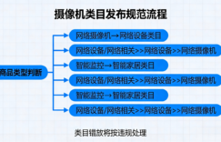 摄像机类商品平台销售合规指南：类目规范、宣传禁忌与违规处理细则