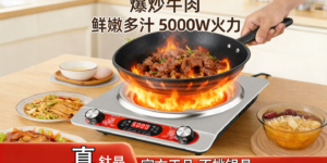 DTL-004钛晶电陶炉，凹面5000W大功率不挑锅，猛火火锅炒菜家用多功能电磁炉缩略图