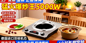 全能厨房动力核心：鑫赑优选深度评测DTL-001凹面电陶炉，如何以5000W澎湃火力重塑烹饪体验？缩略图